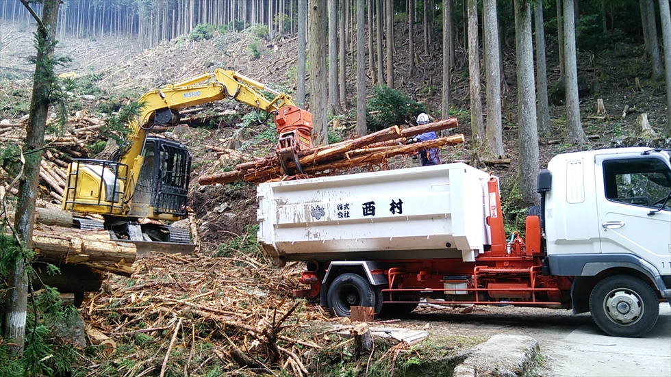 森林整備事業 | 林業・造林・木質バイオマスの森林総合コンサルタント｜株式会社西村